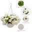 13.5cm Plant-2144995444
