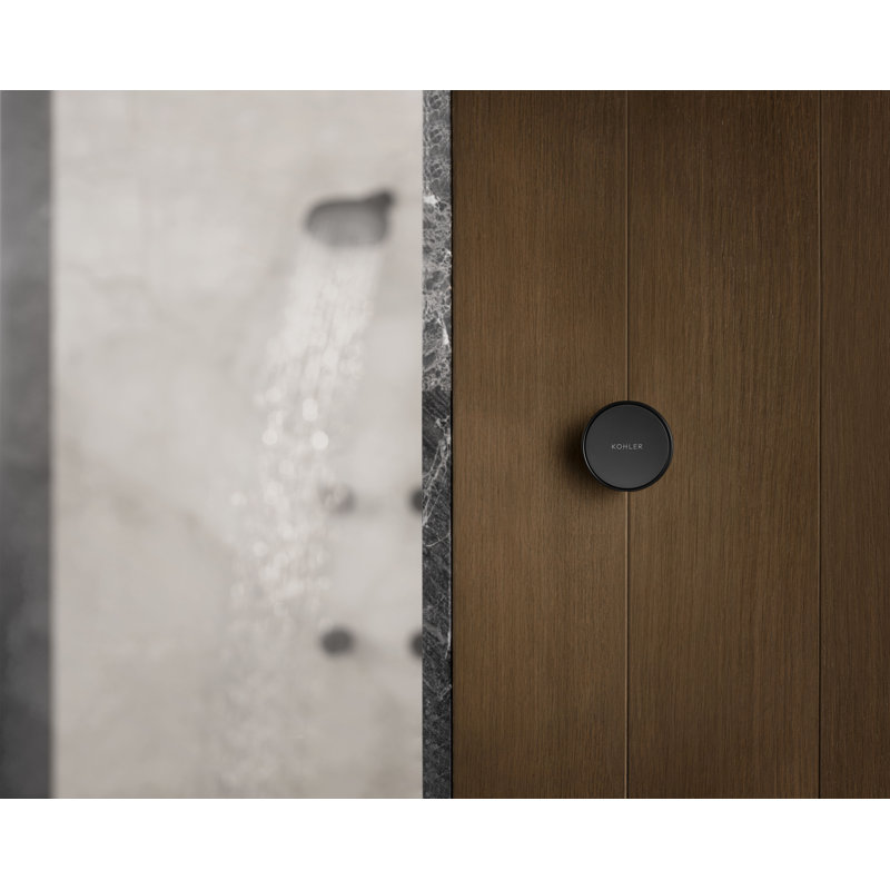 Anthem Remote On/Off Button For Digital Thermostatic Valve, Titanium