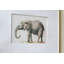 «Elephant», ensemble de 2 reproductions de dessins encadrés