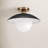 Robin Glass Semi Flush Mount-1742803677
