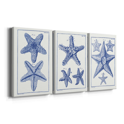 Blue Sea Stars IV - Toile tendue avec châssis sur mesure - 3 pièces