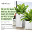 Plant Substrate-55087960