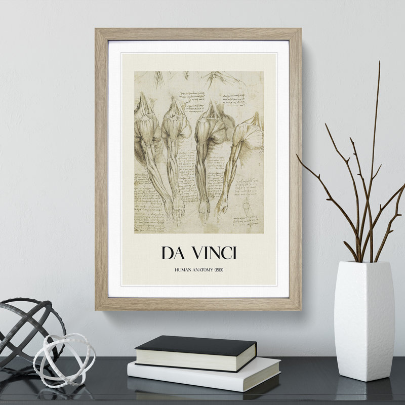 Human Anatomy Vol.8 by Leonardo Da Vinci - Picture Frame Drawing, 48cm H x 36cm W x 2cm D, Oak Framed