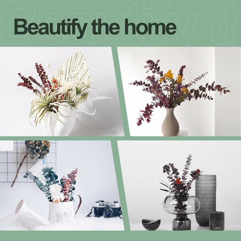 Jaune véritable eucalyptus pour vases
