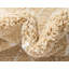 Paquette Trellis Shag Area Rug-874866846