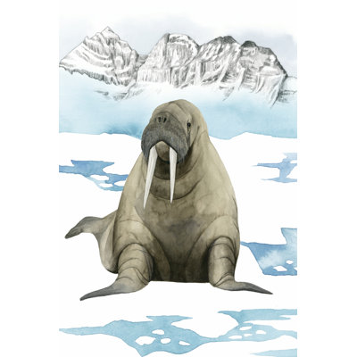Arctic Animal III by Grace Popp - Wrapped Canvas Print