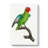 A Red-Cheeked Parrot by F. Levaillant - Wrapped Canvas Painting-55368397