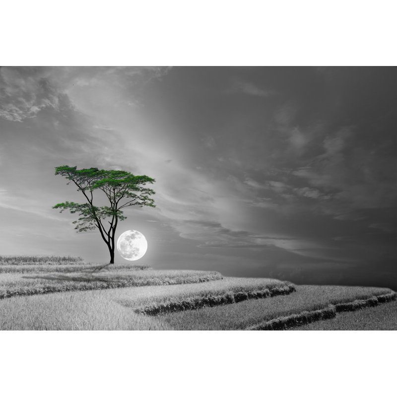 Latreal Lonely Tree On Hill by Muhammad Idrus Arsyad - Wrapped Canvas Print, 20cm H x 30cm W x 3.8cm D