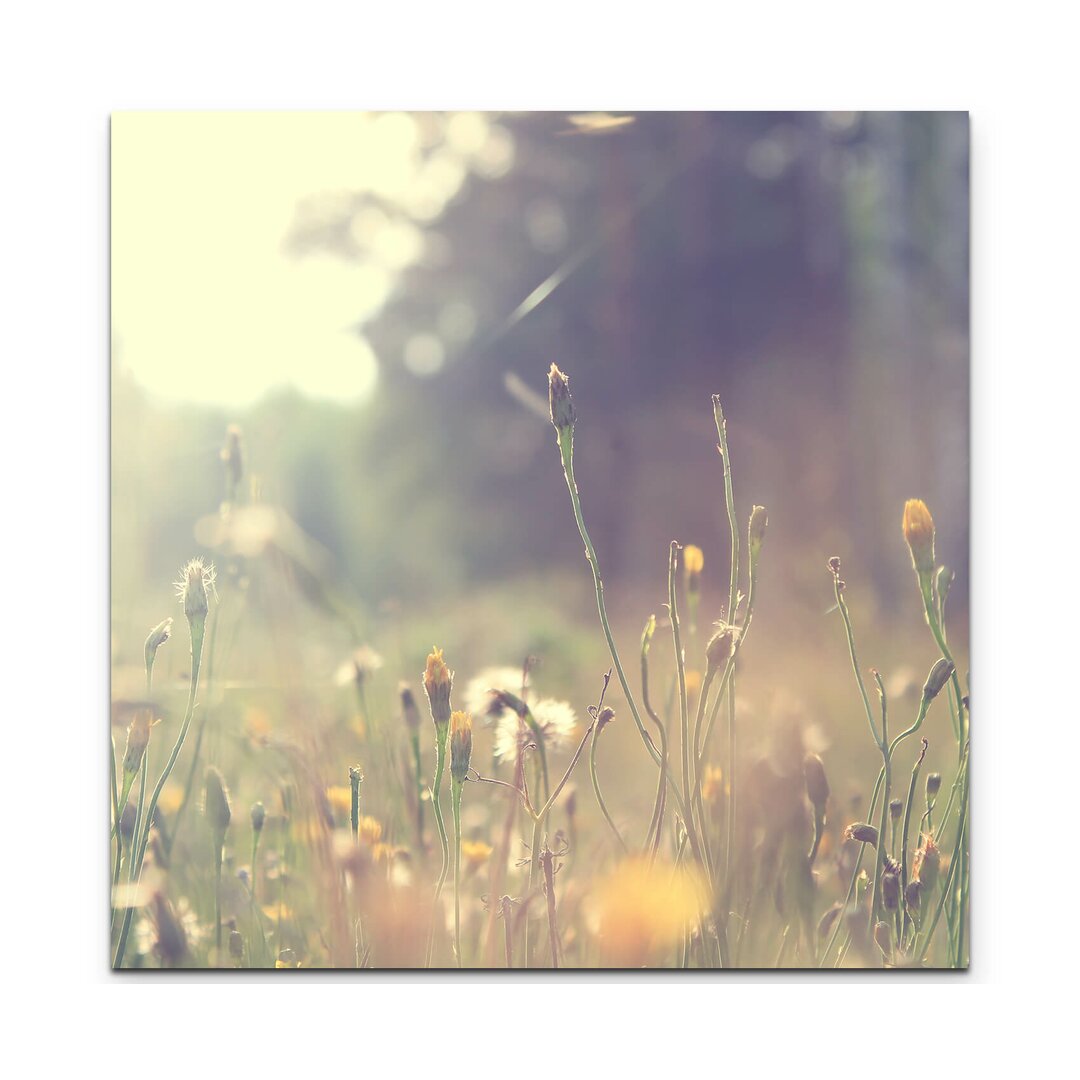 LeinwandbildÂ Wildblumenwiese am Waldrand