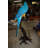 Single Parrot on a tree - Bronze Statue -  Size: 30"L x 24"W x 66"H. 