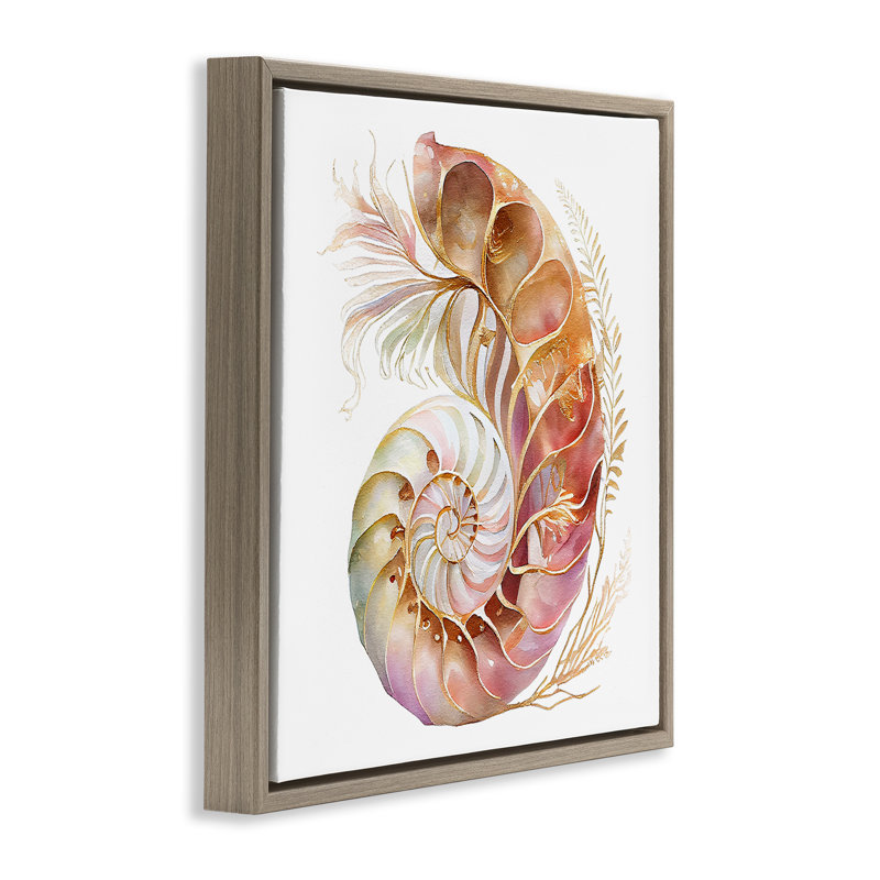 «Curled Nautilus» par Birch & Ink, H 18 po x l 18 po, Cadre flottant orme Montalcino
