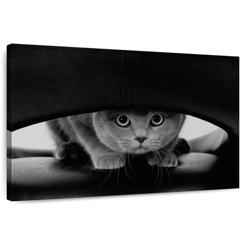 Brampt Peeking Cat, 26" H x 39" W