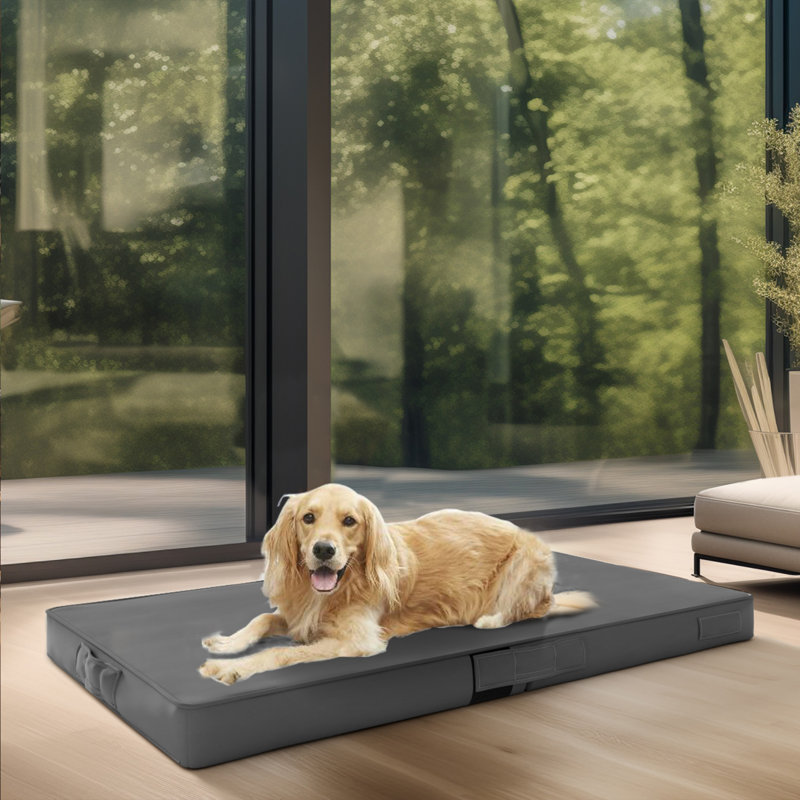 Efua Orthopedic Leather Pet Bed, Large (43.5" W x 31" D x 4" H), Gray