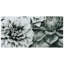 « fleurs », impression sur verre