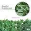 Aaliah Artificial Leaf Hedge Screen Privacy Fence, Dark Green-67202446