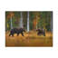 No Frame Print on Canvas-2115114894