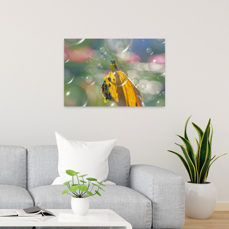 Mantis Bubble Dream Colorful Delicate Peaceful Horse Animal Nature Wall Art Print 1 Piece Wrapped Canvas Wall Art
