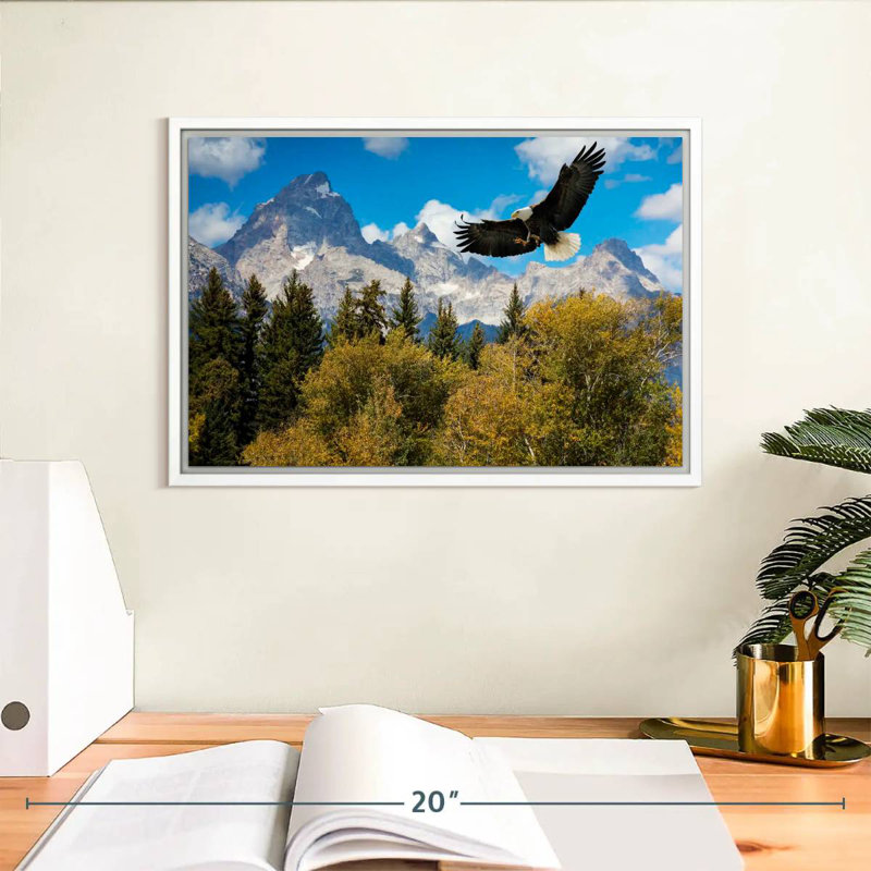 Grand Teton Eagle, Cadre flottant blanc, 13 po x 9 po