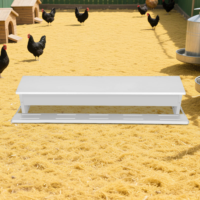 Métal 22 lb Mangeoire à poulet