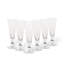 Set/6 Flutes