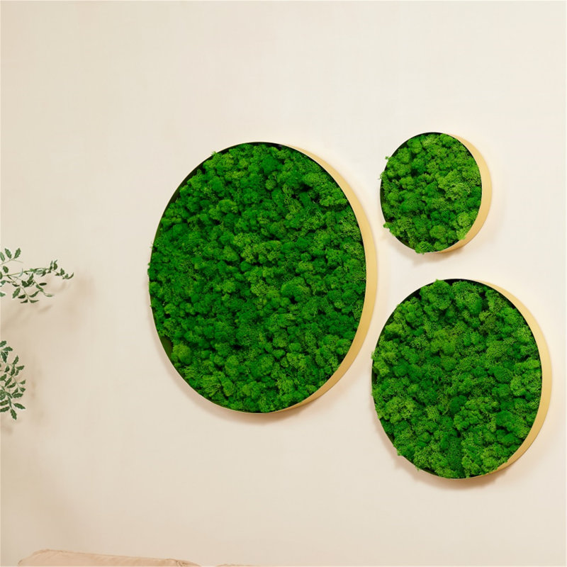 Wall Decor on Iron