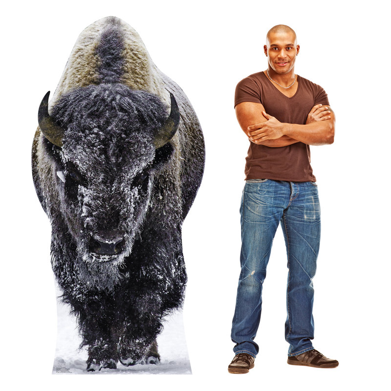 Bison de Yellowstone