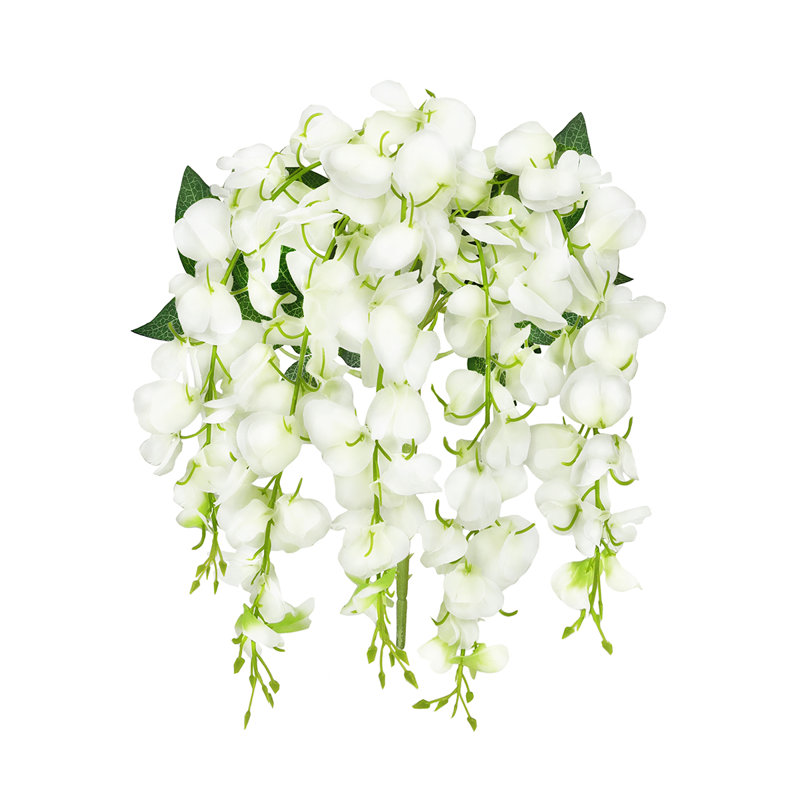 Buisson de glycine suspendu, Blanc crème