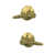 Satin Brass