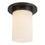Mineral 8-in Brass Flush Mount-2016278282-2016278283