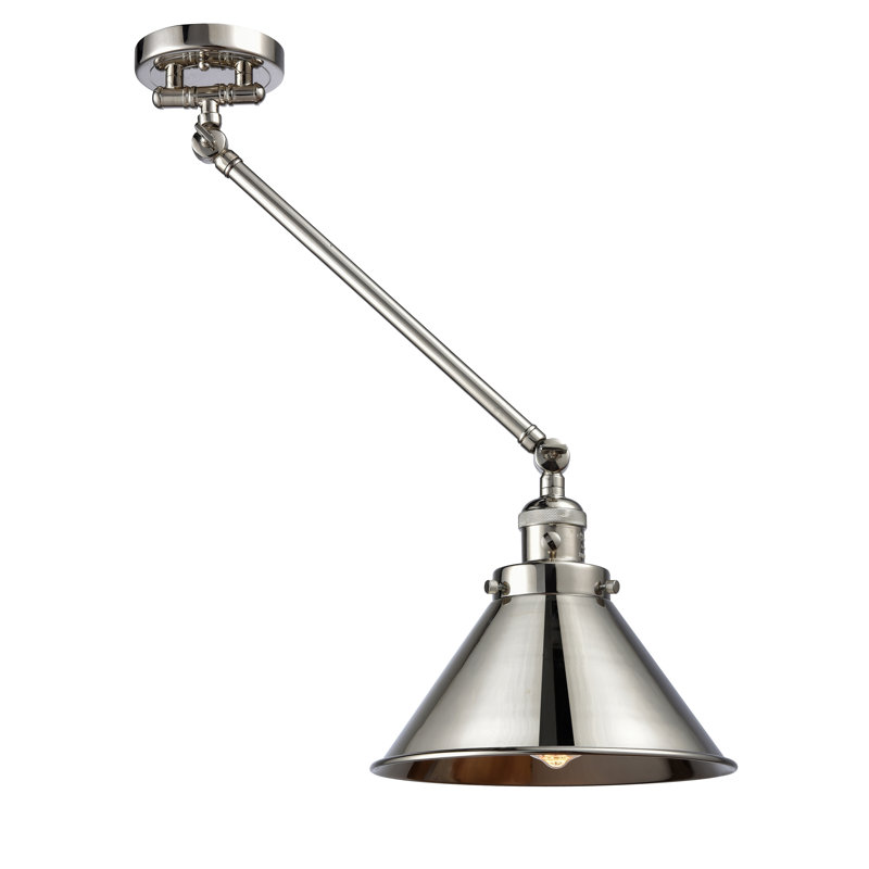 Bras pivotant à 1 lumière Paylor, Incandescent, Nickel poli, Nickel poli