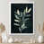 White Picture Framed