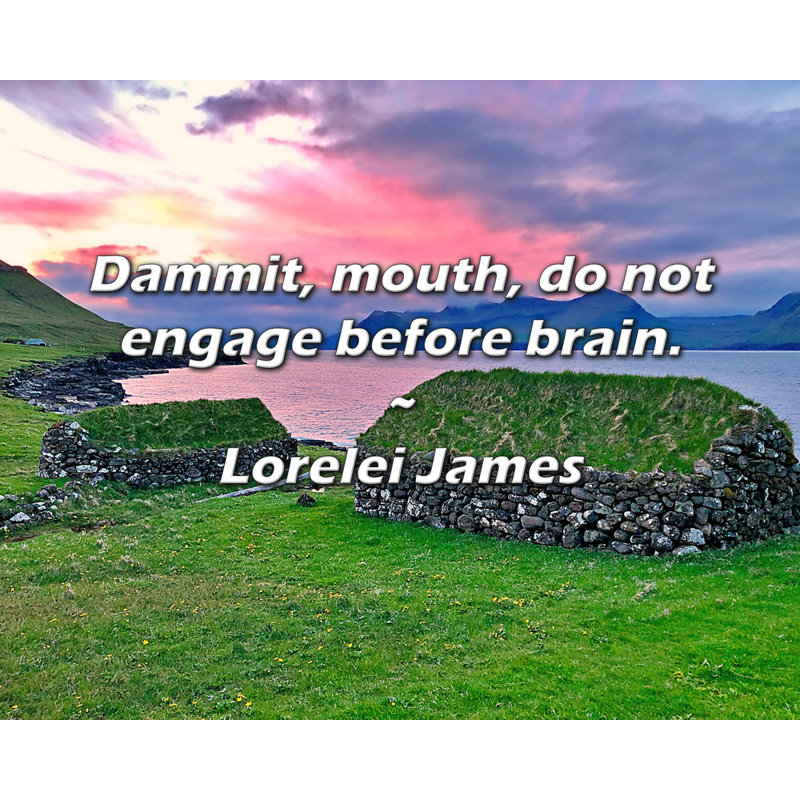 Citation artistique «Bon sang, bouche, ne vous engagez pas avant le cerveau». Toile tendue par Lorelei James