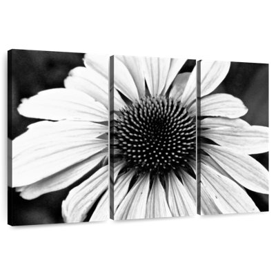 Harnek Daisy Floral Symphony I