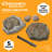 Mini Fossil Set