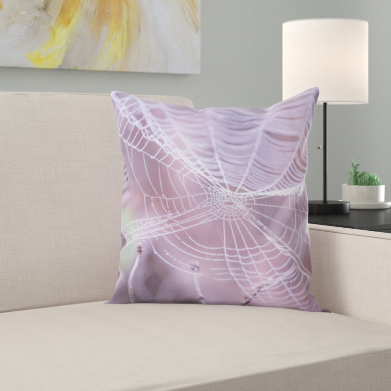 Coussin décoratif flou
