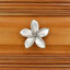 Poignée large Plumeria-104672778-126755984-39948783