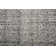 Siona Indoor / Outdoor Rug
