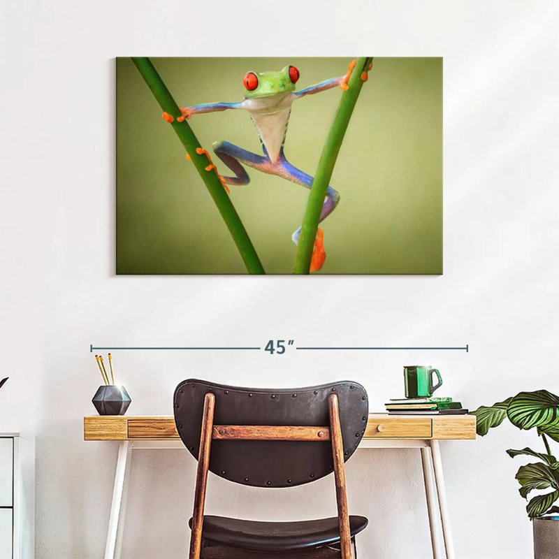 Frog Show Off, 26" H x 39" W