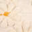 Cotton Slub Lumbar Pillow With Tufted Flowers