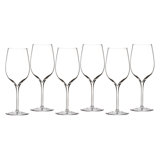 Elegance Wine Tasting Glass 14 fl oz