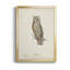 Scops - Toile encadrée de qualité supérieure - prêt à accrocher-230742275-230742276