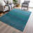Machine Washable Indoor/Outdoor Xhevrie Teal Rug-1147510031