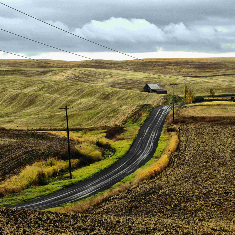 " The Road Home " by Colby Chester, 12" H x 12" W  