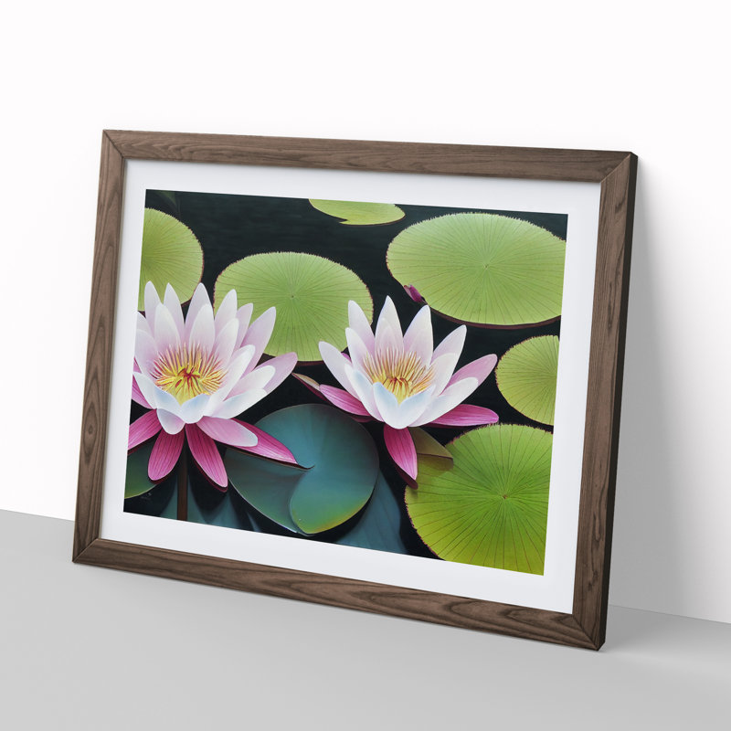 Beguiling Water Lily Flowers - Single Picture Frame Print, 46cm H x 64cm W x 2cm D, Walnut Framed