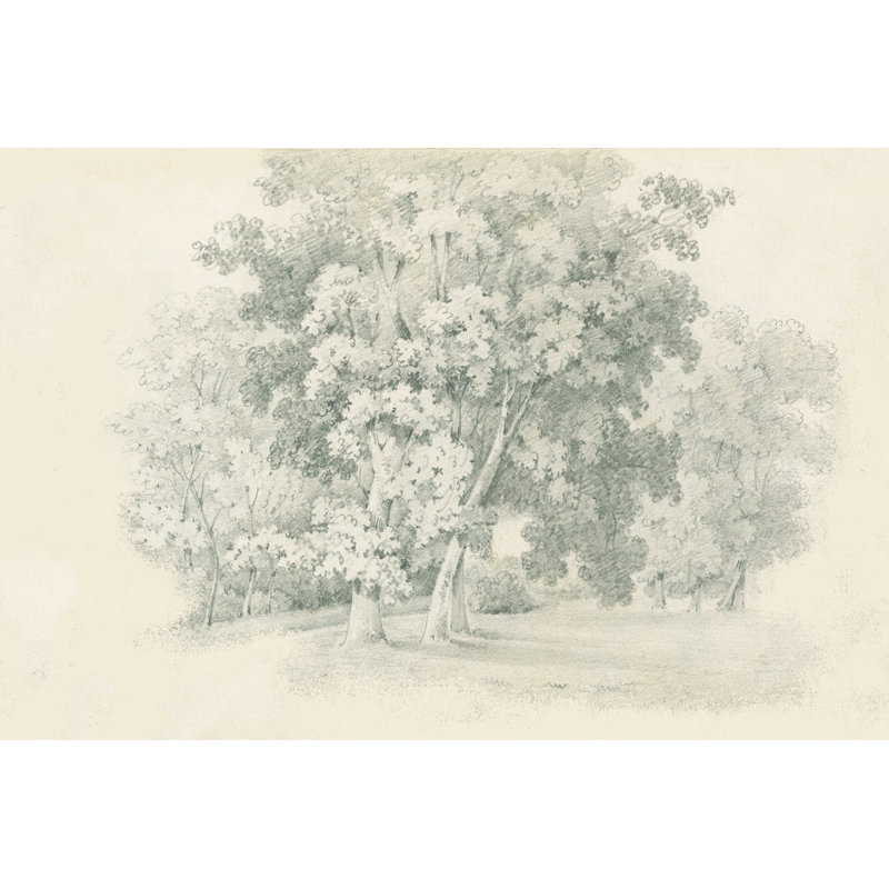 Bordure du croquis des bois, H 24 po x l 36 po