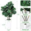 Plant-986871591