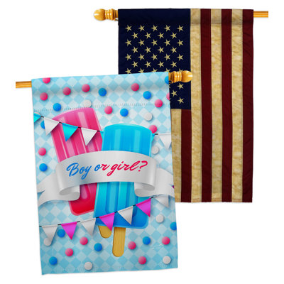 Double Sided 40'' H x 28'' W Polyester New Baby House Flag