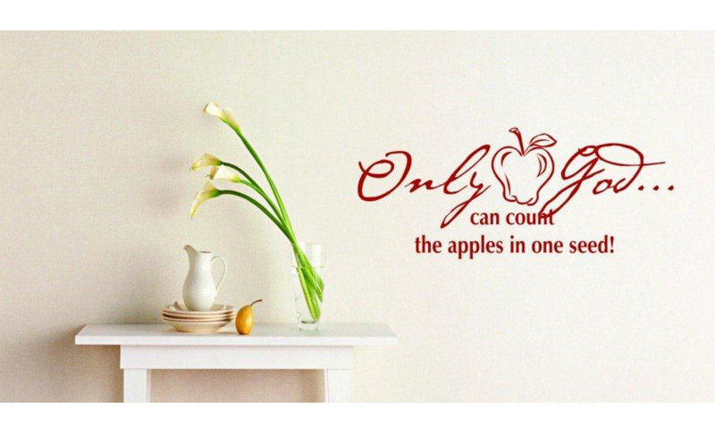 Non-Wall Damaging Wall Decal