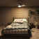Inlight 30" Integrated LED Indoor Ceiling Fan with Light and Remote, IN-0715-1-MD