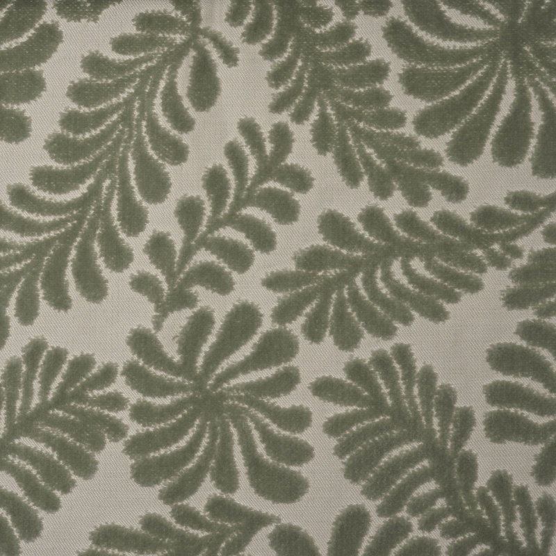 Tissu Eden, Brume
